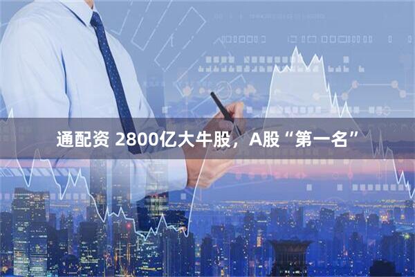 通配资 2800亿大牛股，A股“第一名”