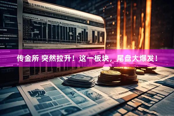 传金所 突然拉升！这一板块，尾盘大爆发！