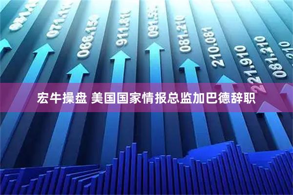 宏牛操盘 美国国家情报总监加巴德辞职