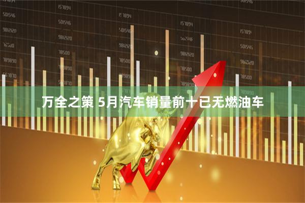 万全之策 5月汽车销量前十已无燃油车