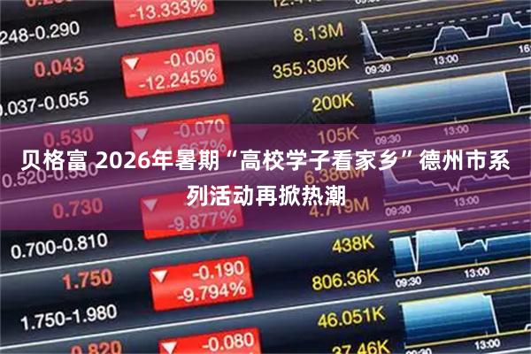 贝格富 2026年暑期“高校学子看家乡”德州市系列活动再掀热潮