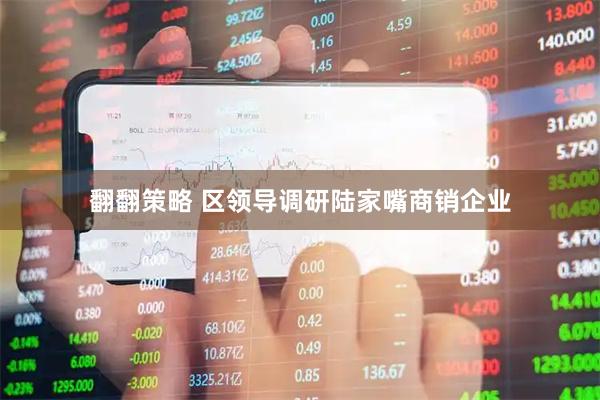 翻翻策略 区领导调研陆家嘴商销企业